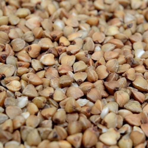 Buckwheat ( Kuttu )