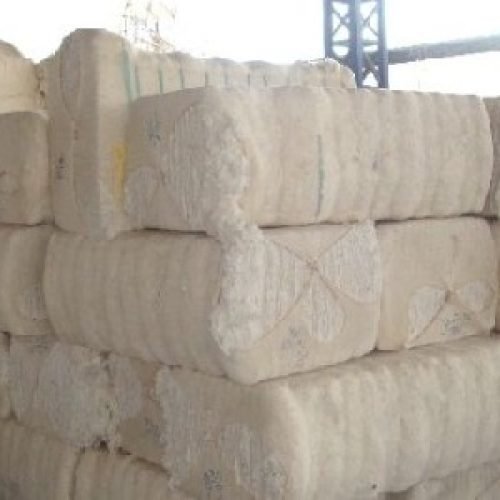 Cotton Bales