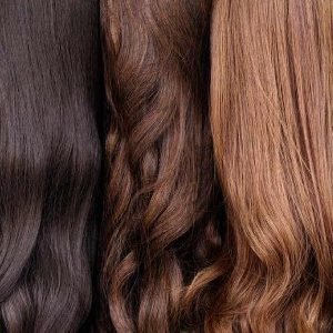 Human Hairs