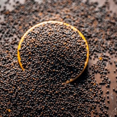 Mustard Seeds