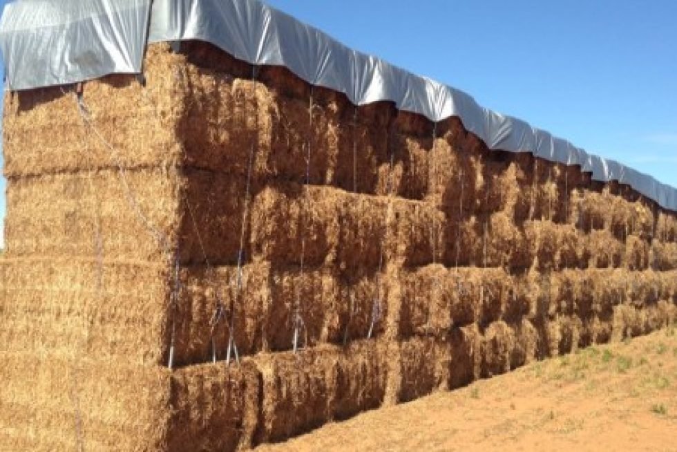 Rice Straw Bales