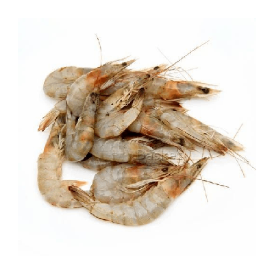 Sea White Shrimp