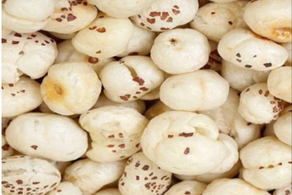 fox Nuts