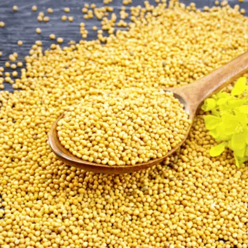 yellow Mustard Seed